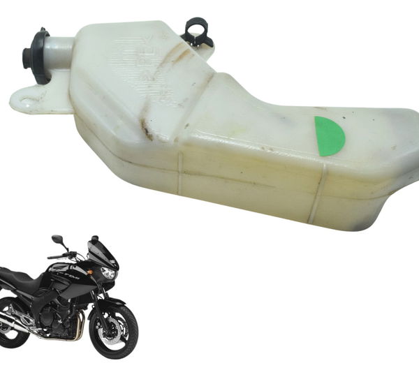 Reservatório Agua Yamaha Tdm Twin 900 02-08 Original