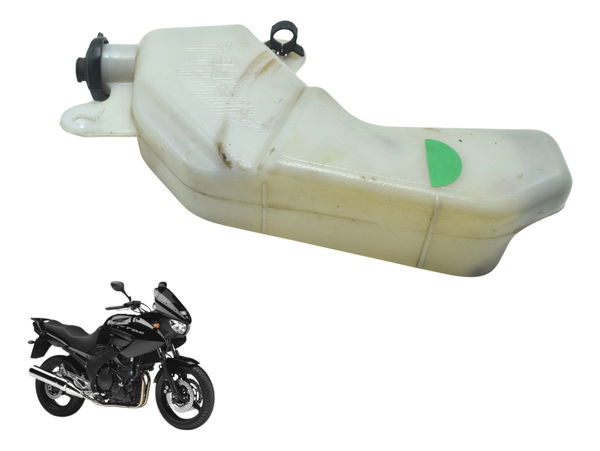 Reservatório Agua Yamaha Tdm Twin 900 02-08 Original
