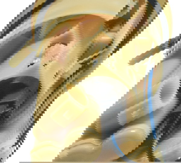 Bomba Combustível Yamaha Tdm Twin 900 02-08 Original