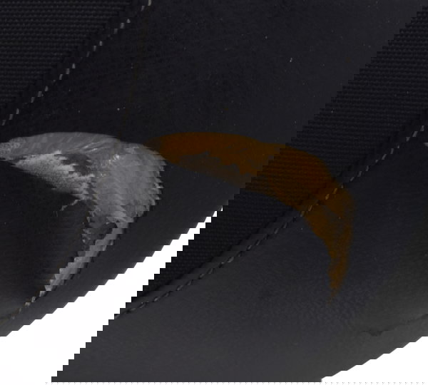 Banco Dianteiro C/ Detalhes Triumph Scrambler 900 17-23 Orig