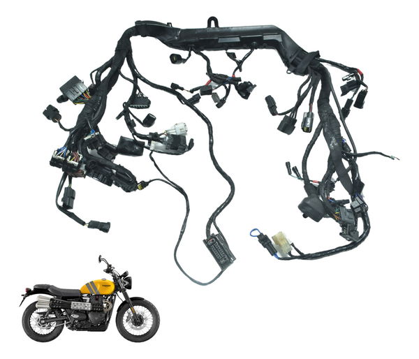 Chicote Principal Triumph Scrambler 900 17-23 Original