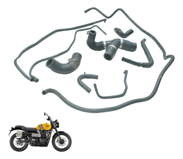 Kit Mangueiras Triumph Scrambler 900 17-23 Original