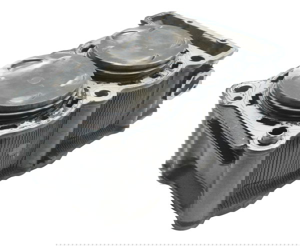 Cilindro Pistão E Anéis Yamaha Tdm Twin 900 02-08 Orig