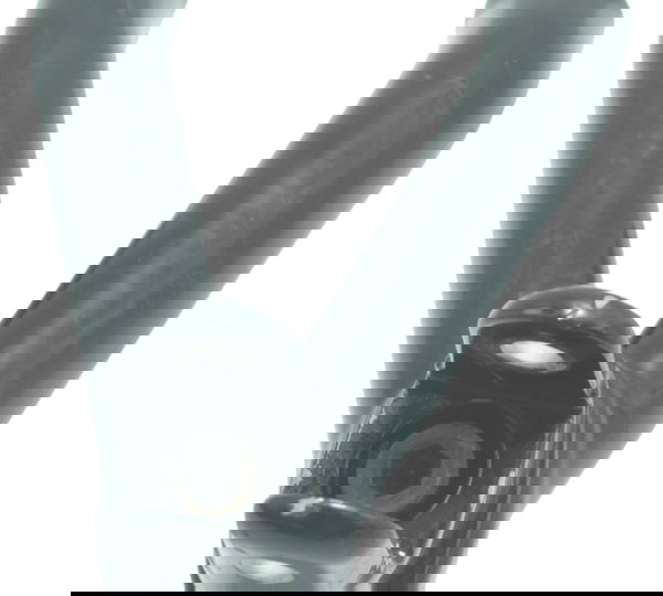 Bacalhau Traseiro Esquerdo Triumph Scrambler 900 17-23 Orig