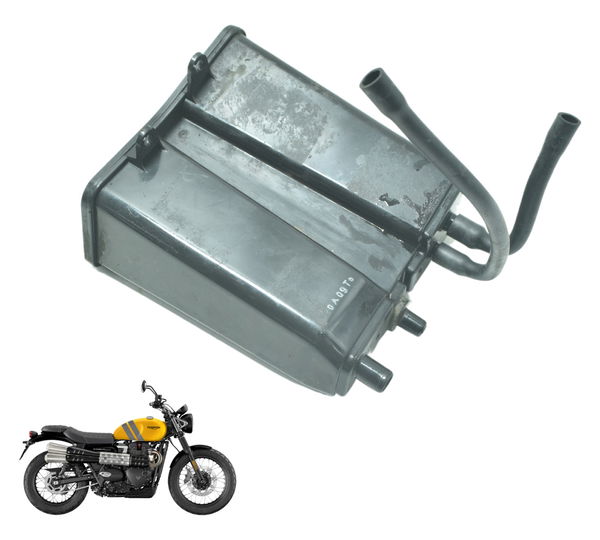 Filtro Canister Triumph Scrambler 900 17-23 Original 1
