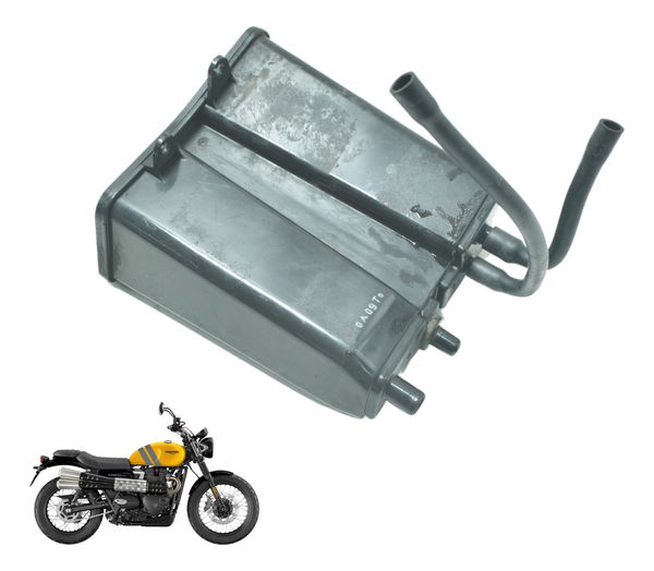 Filtro Canister Triumph Scrambler 900 17-23 Original