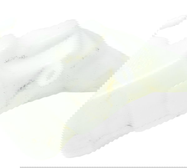 Reservatório Água Triumph Scrambler 900 17-23 Original