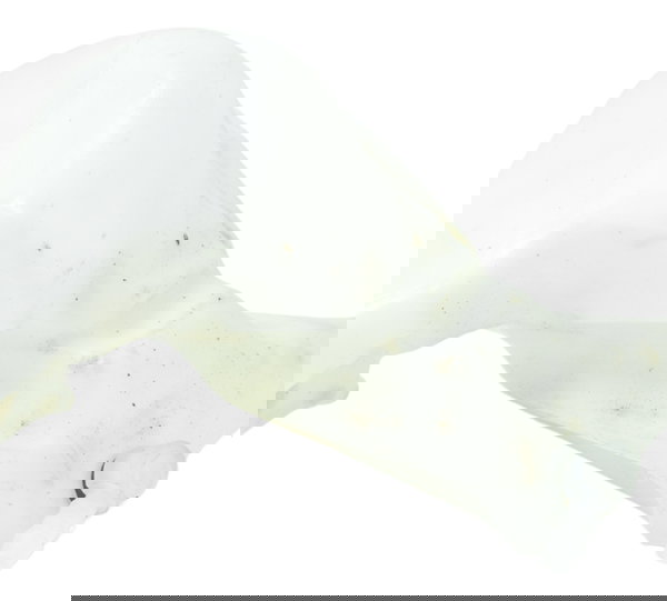 Reservatório Água Triumph Scrambler 900 17-23 Original