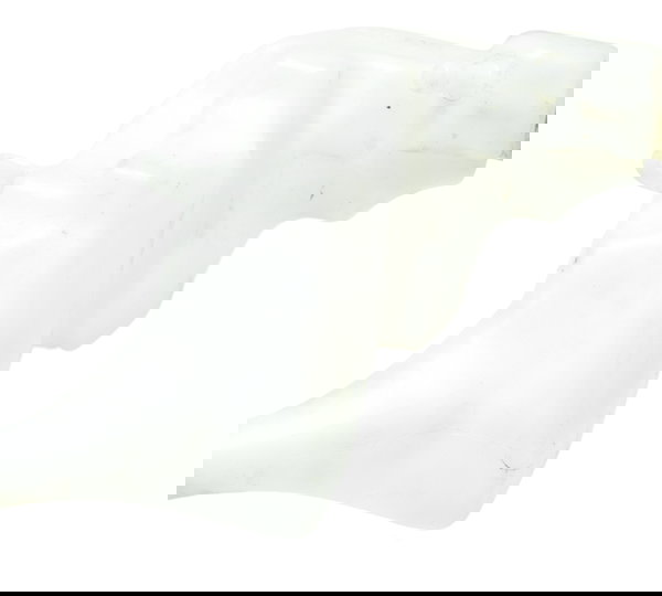 Reservatório Água Triumph Scrambler 900 17-23 Original