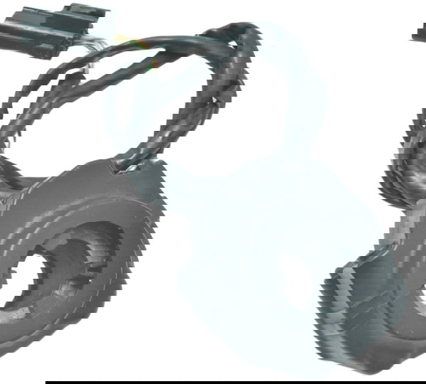 Acelerador Eletrônico Triumph Scrambler 900 17-23 Original