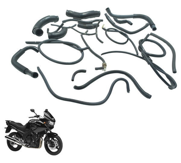 Kit Mangueiras Yamaha Tdm Twin 900 02-08 Original