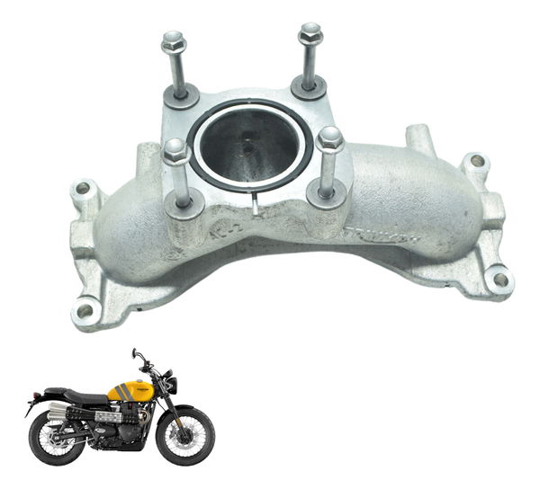 Coletor Admissão Triumph Scrambler 900 17-23 Original