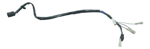 Chicote Lanterna Tras Triumph Scrambler 900 17-23 Original
