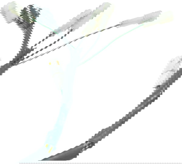 Chicote Lanterna Tras Triumph Scrambler 900 17-23 Original