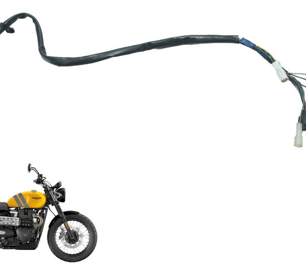 Chicote Lanterna Tras Triumph Scrambler 900 17-23 Original