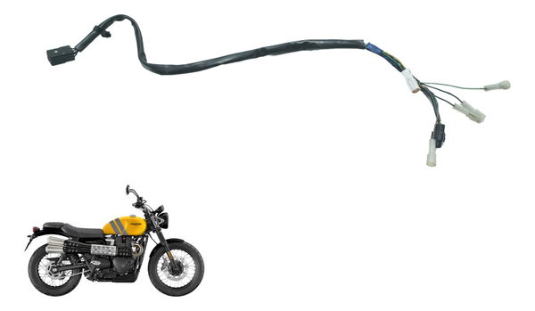 Chicote Lanterna Tras Triumph Scrambler 900 17-23 Original