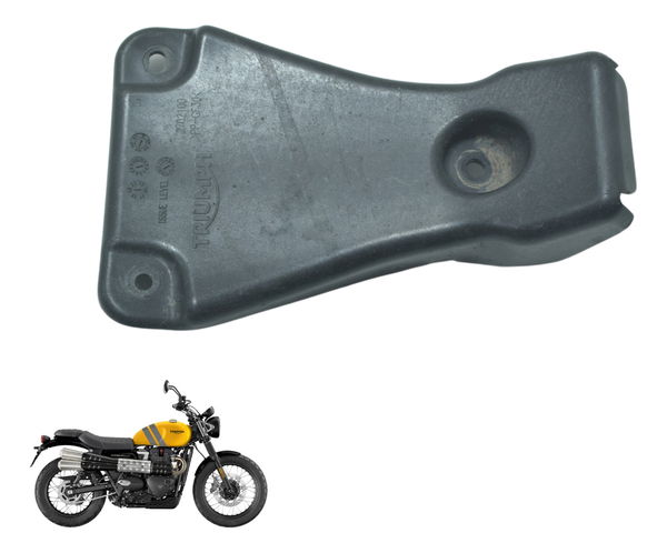 Suporte Chicote Lanterna Triumph Scrambler 900 17-23 Orig