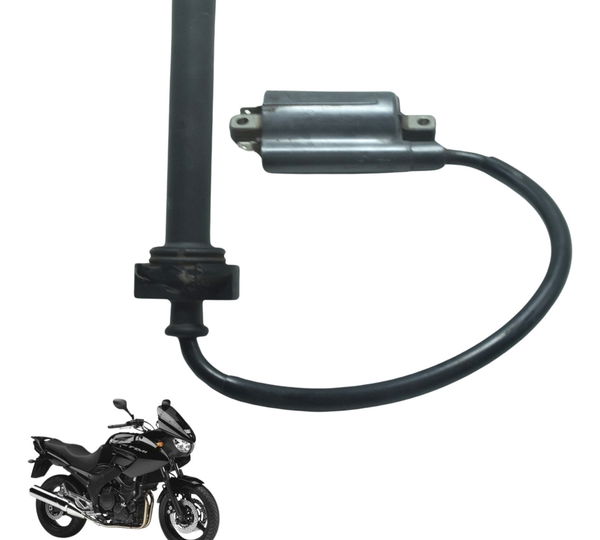 Bobina Ignição C/ Det Yamaha Tdm Twin 900 02-08 Original