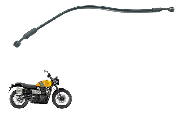 Flexível Freio Dianteiro Triumph Scrambler 900 17-23 Orig