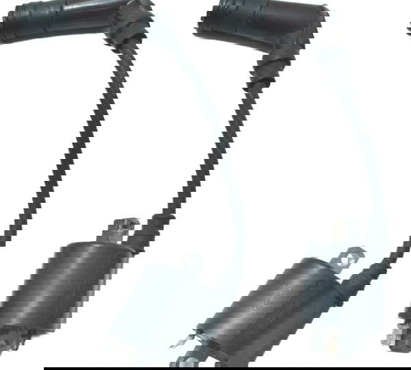 Par Bobina Ignição Triumph Scrambler 900 17-23 Original