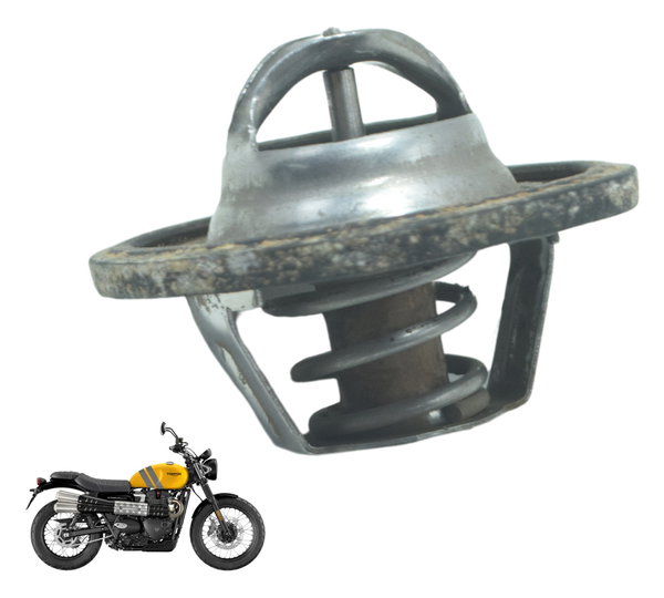 Válvula Termostática Triumph Scrambler 900 17-23 Original