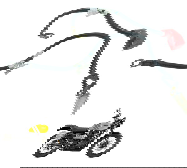 Cabo Bateria +/- Triumph Scrambler 900 17-23 Original