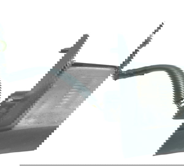 Luz Placa Triumph Scrambler 900 17-23 Original