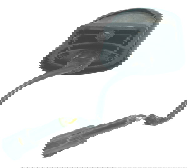 Luz Placa Triumph Scrambler 900 17-23 Original