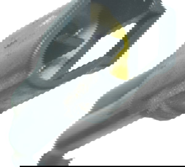 Luz Placa Triumph Scrambler 900 17-23 Original