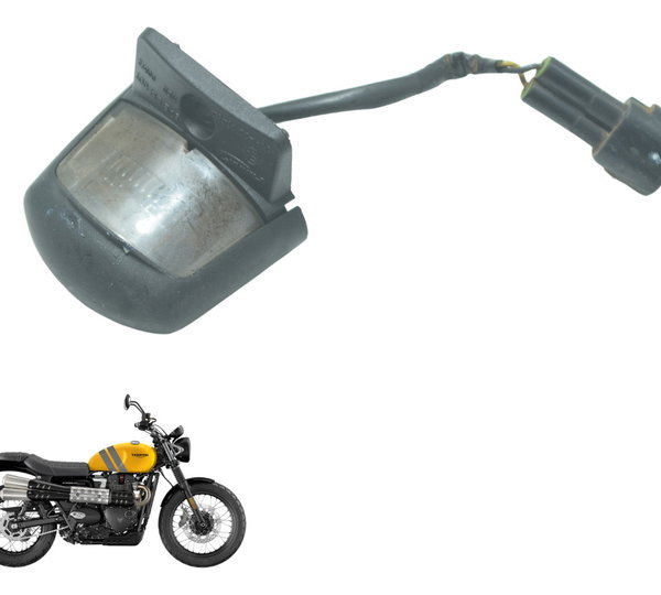 Luz Placa Triumph Scrambler 900 17-23 Original