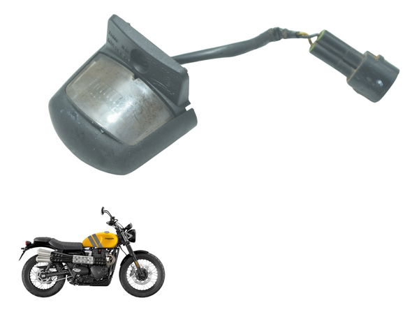 Luz Placa Triumph Scrambler 900 17-23 Original