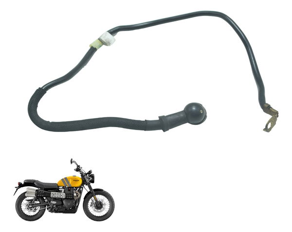 Cabo Motor Arranque Triumph Scrambler 900 17-23 Original