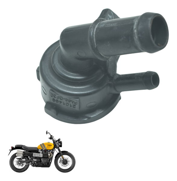Bocal Radiador Triumph Scrambler 900 17-23 Original