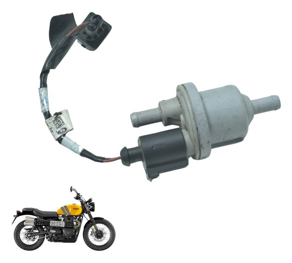 Válvula Canister Triumph Scrambler 900 17-23 Original