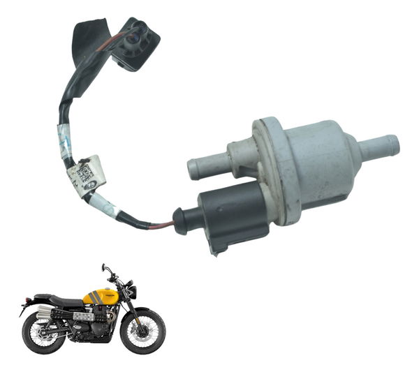 Válvula Canister Triumph Scrambler 900 17-23 Original