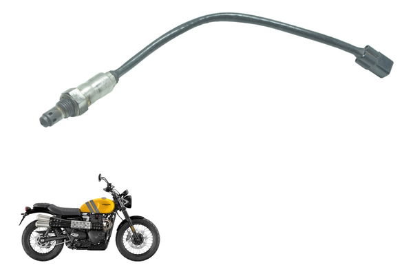 Sonda Lambda Triumph Scrambler 900 17-23 Original