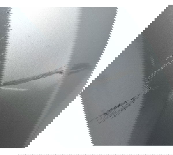 Paralama Dianteiro C/ Det Honda Elite 125 18-22 Original