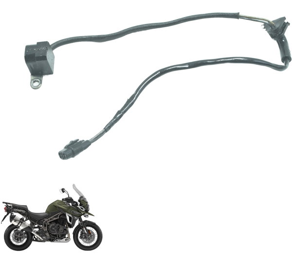 Pulsador Triumph Tiger 1200 12-21 Ex Original