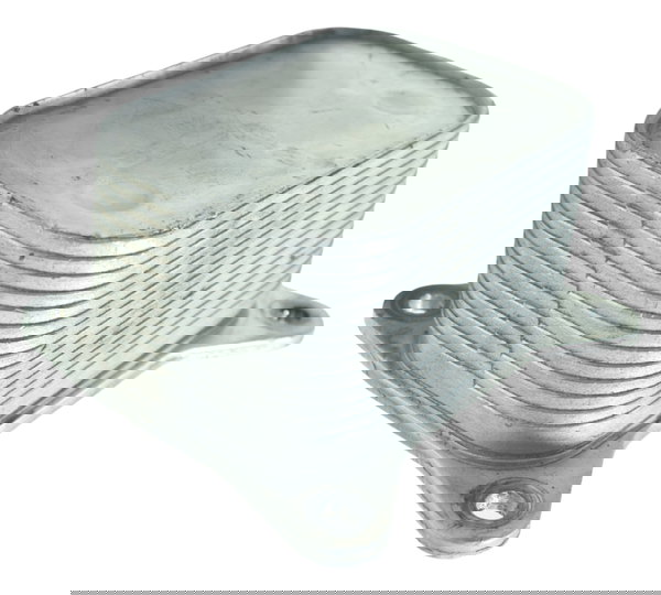 Resfriador Óleo Triumph Tiger 1200 12-21 Ex Original