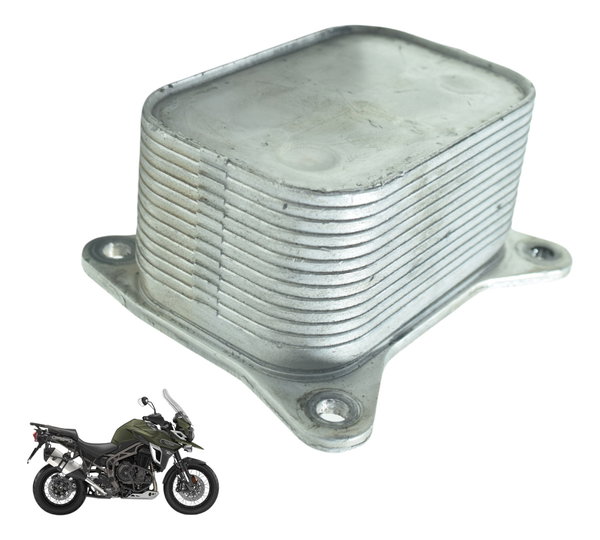 Resfriador Óleo Triumph Tiger 1200 12-21 Ex Original