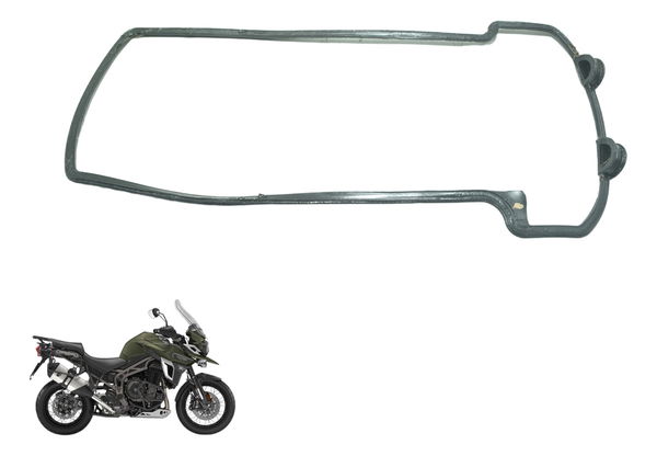 Guarnição Tampa Válvula Triumph Tiger 1200 12-21 Ex Original
