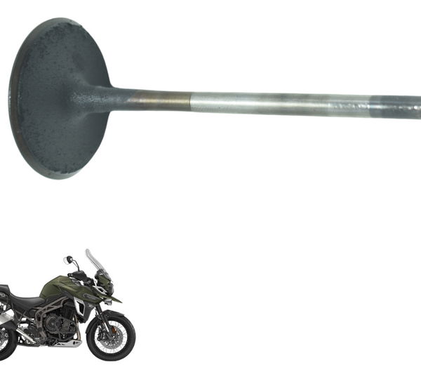 Válvula Admissão Triumph Tiger 1200 12-21 Ex Original