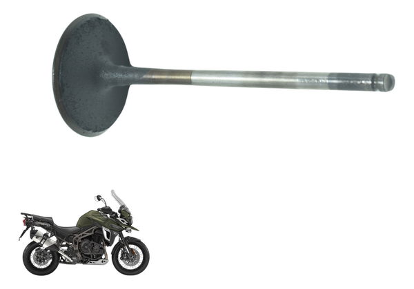 Válvula Admissão Triumph Tiger 1200 12-21 Ex Original