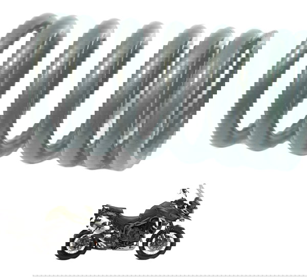 Mola Válvula Triumph Tiger 1200 12-21 Ex Original