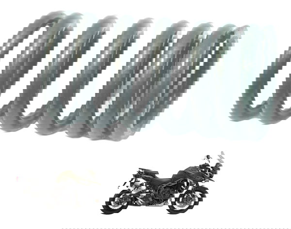 Mola Válvula Triumph Tiger 1200 12-21 Ex Original