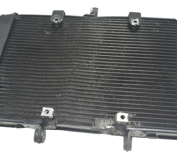 Radiador C/ Avaria Honda Cb 1000 R 11-16 Original