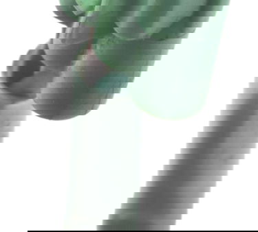 Sensor Tombo Honda Cb 1000 R 11-16 Original