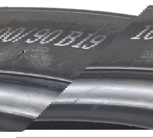 Pneu Michelin Scorcher 31 Hd 100/90-19