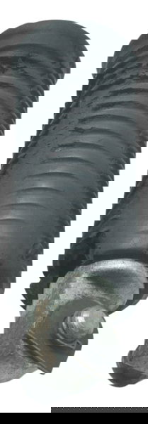 Pedaleira Diant C/ Detalh Harley 883 R Sportster 08-09 Orig