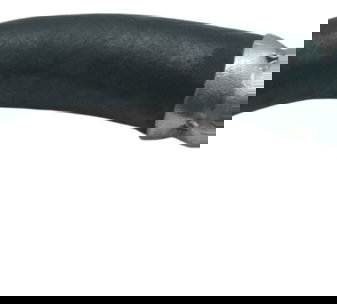 Mangueira Óleo Harley 883 R Sportster 08-09 Original